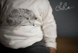 21 T-shirt dipinta a mano - Zefiro W21